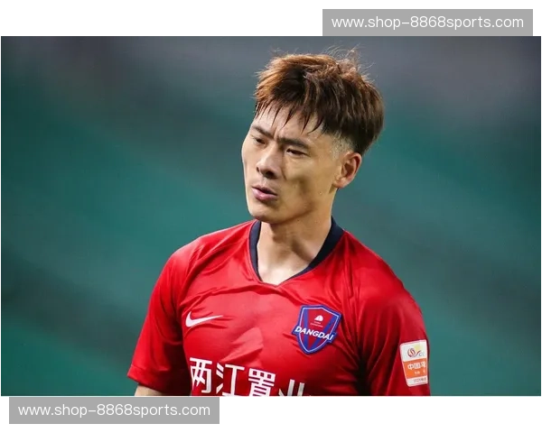 山城风雨，雄狮怒吼：重庆力帆与辽宁，一场不朽的足球史诗